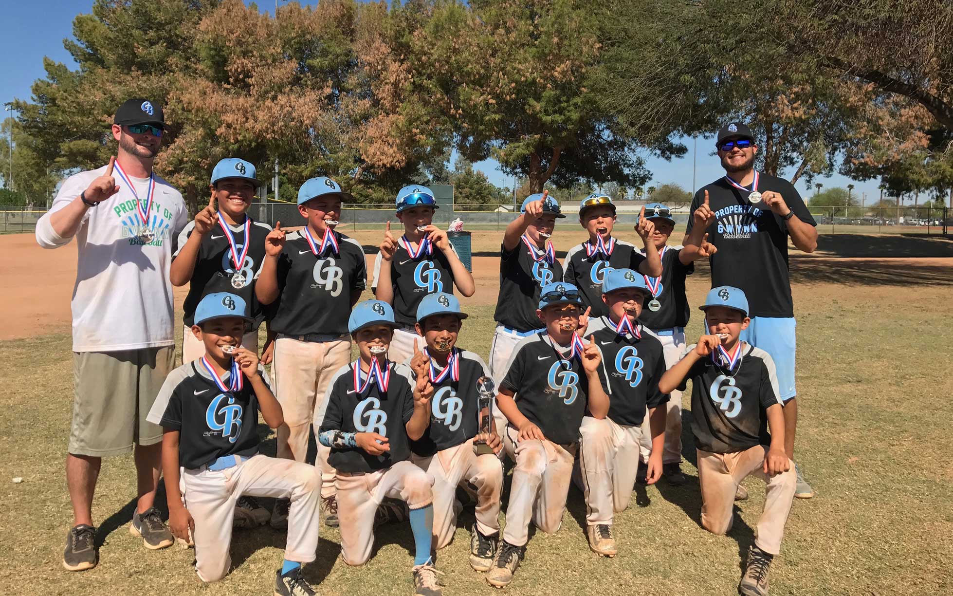 Gwynn Baseball Youth Team Picture